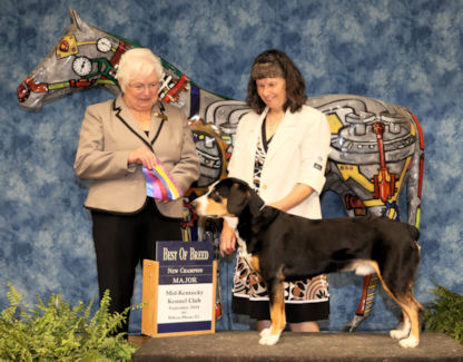Geordi's Conformation Championship photo
