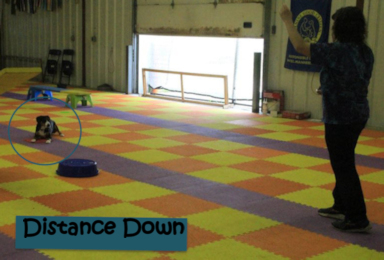 Jaylah Distance Down trick