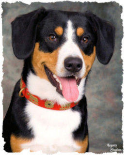 Data head shot 1 year old