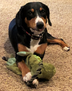 Risa playing with toy
